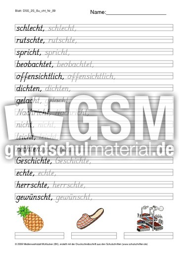 DSS_2S_Bu_cht_Nr_09.pdf